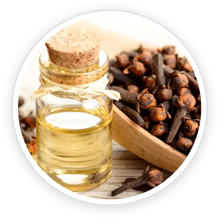 Clove Bud Oil